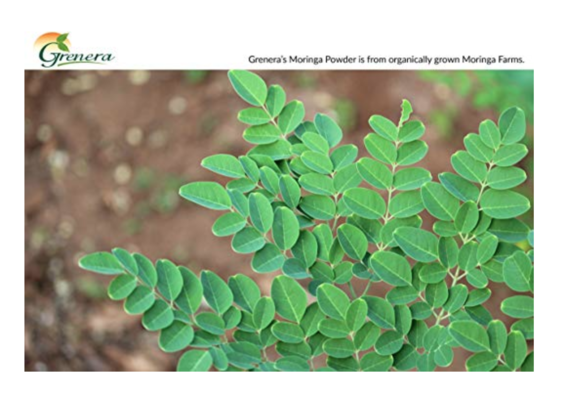 Moringa Oleifera leaf powder, organic, vegan