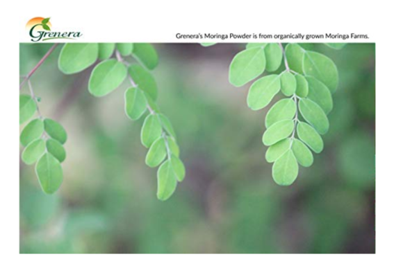 Moringa Oleifera leaf powder, organic, vegan