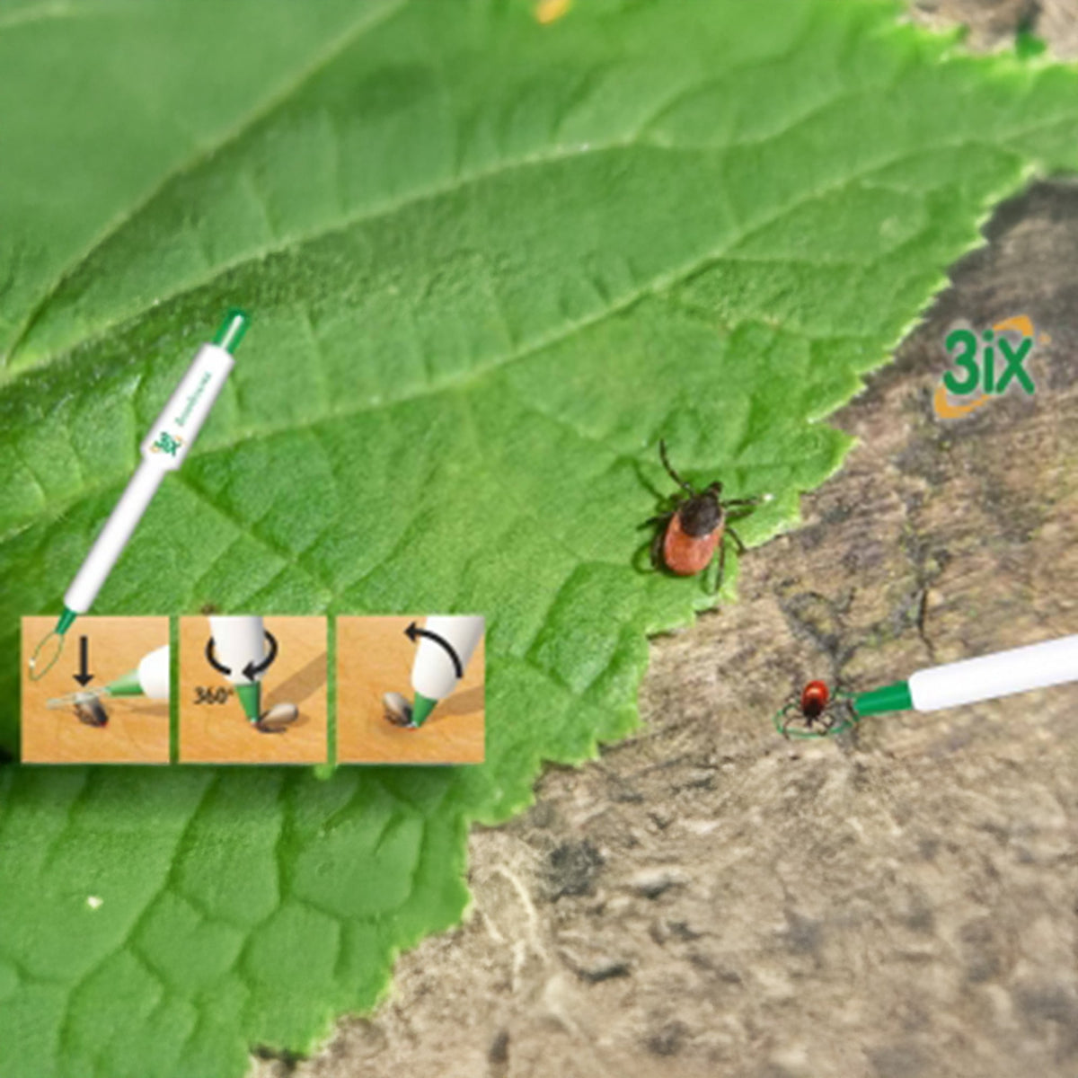 Zecken-Schlinge 3iX das Original